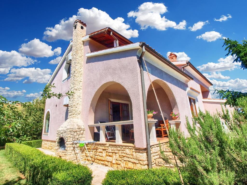 Kamelija 316
